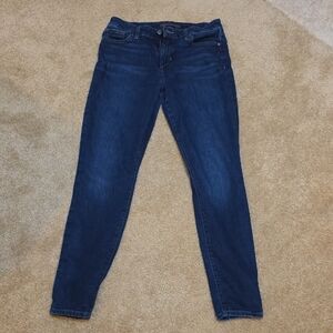 Joe's Jeans Deep Blue Skinny Women's Jeans